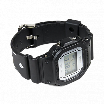 DW-5600PGB-1E