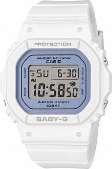 BGD-565SC-2B