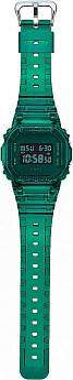DW-5600SB-3ER