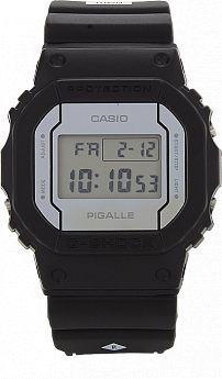 DW-5600PGB-1E