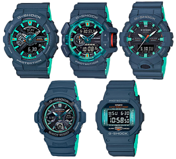 DW-5600CC-2ER