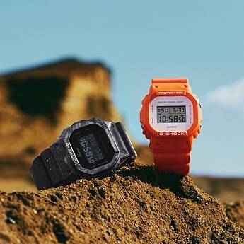 DW-5600WS-4