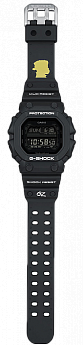 GX-56BBGRLR-1ER