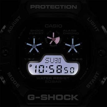 DW-5900U-1