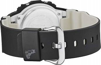 DW-5600SHB-1