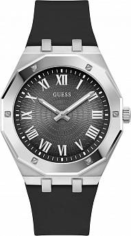 GW0663G1