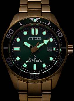 BN0262-59W